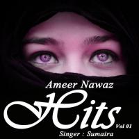 Ameer Nawaz Hits Vol. 01 songs mp3