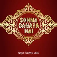 Sohna Banaya Hai songs mp3