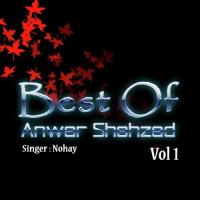 Best Of Anwar Shehzad Vol. 1 songs mp3