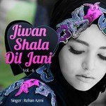 Jiwan Shala Dil Jani Vol. 06 songs mp3