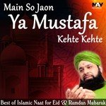 Bakht-e-Khufta Ne Mujhe Roze Pe Alhaj Muhammad Owais Raza Qadri Song Download Mp3