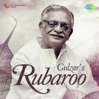 Gulzars Rubaroo songs mp3