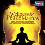 Wellness And Peace Mantras songs mp3