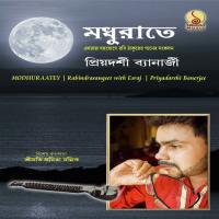 Biraho Madhuro Holo Aji Priyadarshi Banerjee Song Download Mp3