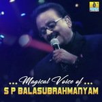 Banthu Banthu (From "Orata I Love You") S. P. Balasubrahmanyam Song Download Mp3