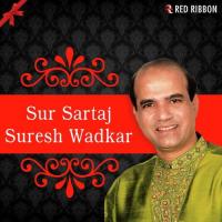 Sur Sartaj Suresh Wadkar songs mp3