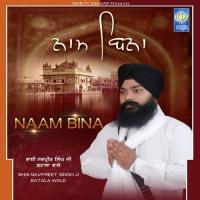 Naam Bina songs mp3