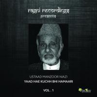 Yaad Hae Kuchh Bhi Hamaari, Vol. 1 songs mp3