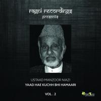 Yaad Hae Kuchh Bhi Hamaari, Vol. 2 songs mp3