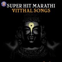 Super Hit Marathi Vitthal Songs songs mp3