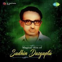 Magical Hits Of Sudhin Dasgupta songs mp3