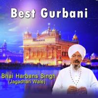 Japji Sahib Bhai Harbans Singh (Jagadhri Wale) Song Download Mp3