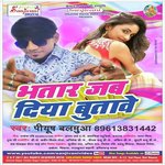 Bhatar Jab Diya Butabe songs mp3