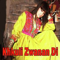 Khkuli Zwanan Di Sadiq Afridi Song Download Mp3