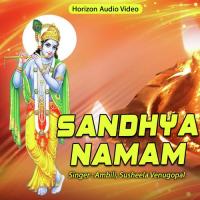 Achyutham Kesavam Ambili,Susheela Venugopal Song Download Mp3