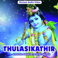 Harinamakeerthanam G. Venugopal Song Download Mp3