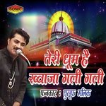 Teri Dhoom Hai Khwaja songs mp3