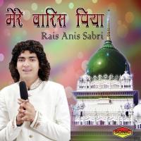 Mere Tan Rang Diya Rais Anis Sabri Song Download Mp3