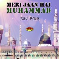 Meri Jaan Hai Muhammad Yusuf Malik Song Download Mp3