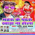 Bhatru Ke Pathru Khara Na Hola songs mp3