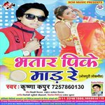 Bhatar Pike Maar Re songs mp3