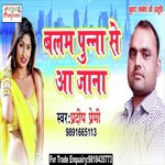 Balam Punna Se Aa Jana Pradeep Premi Song Download Mp3