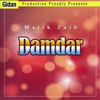 Khantey Dakka Malik Zaib Song Download Mp3