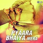 Pyaara Bhaiya Mera (From "Kya Kehna!") Alka Yagnik,Kumar Sanu Song Download Mp3