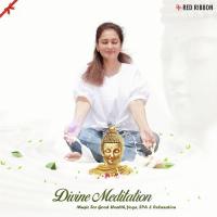 Divine Meditation - Music For Good Health, Yoga, SPA And Relaxation songs mp3