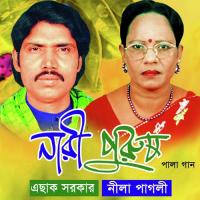 Maiya Shone Roshik Nila Pagli Song Download Mp3
