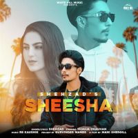 Sheesha Shehzad Song Download Mp3
