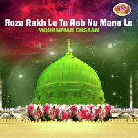 Roza Rakh Le Te Rab Nu Mana Le songs mp3