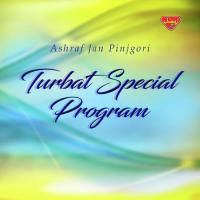Tabeer Mani Phulen Ashraf Jan Pinjgori Song Download Mp3