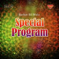 Gulley Pulla Barkat Bil Wala Song Download Mp3