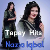 Da Zra Pa Sar De Oweshtama Nazia Iqbal Song Download Mp3
