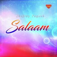 Salaam songs mp3