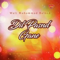 Bara San Shuma Wali Muhammad Baloch Song Download Mp3