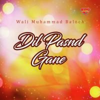 Dil Pasnd Gane songs mp3