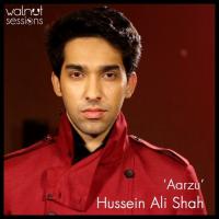 Aarzu Hussain Ali Shah Song Download Mp3
