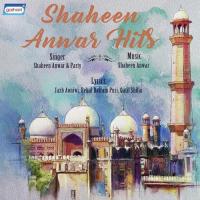 Aankhon Ka Kam Shaheen Anwar Song Download Mp3