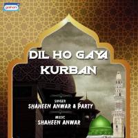 Sarkar Jo Umat Pe Shaheen Anwar Song Download Mp3