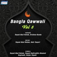 Bangla Qawwali Vol 6 songs mp3