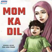 Ranj O Gum Ke Shah Jahan Shadab Song Download Mp3