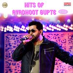 Hits Of Avadhoot Gupte Vol 1 songs mp3
