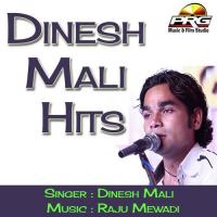 Dinesh Mali Hits songs mp3