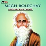 Megh Boleche Instrumental Song Download Mp3