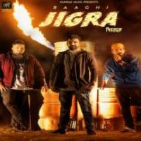 Jigra Baaghi Song Download Mp3