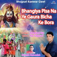 Bhangiya Pisa Na Ye Gaura Bicha Ke Bora Amarjeet Rai Song Download Mp3