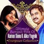 Aamar Monta Aeto Pagal Kumar Sanu,Alka Yagnik Song Download Mp3