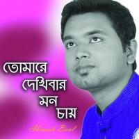 Tumare Dekhibar Mon Chai Abinash Baul Song Download Mp3